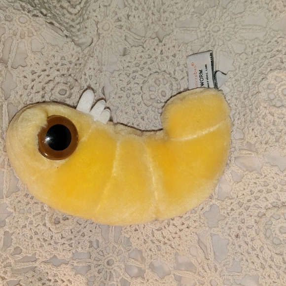 Bookworm (Anobium Punctatum) - Picture 3 of 3